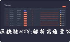 了解区块链HTY：解析高通量公有链