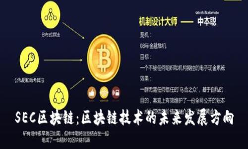 SEC区块链：区块链技术的未来发展方向