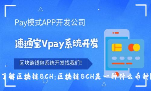 了解区块链BCH：区块链BCH是一种什么币种？