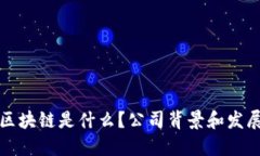 江苏区块链是什么？公司背景和发展历程