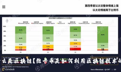 什么是区块链？维卡币是如何利用区块链技术的？