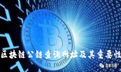 区块链公链查询网址及其重要性