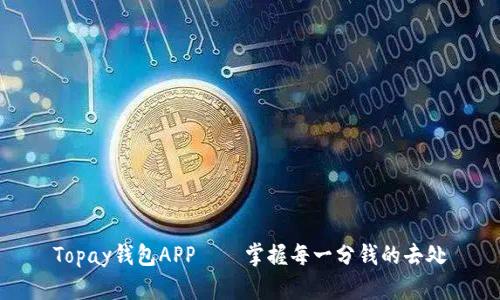 Topay钱包APP——掌握每一分钱的去处