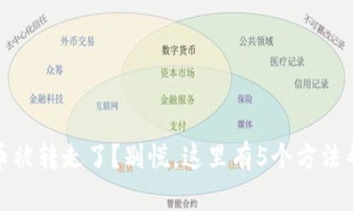 tp钱包币被转走了？别慌，这里有5个方法帮你追回