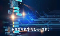 如何使用数字钱包app付款？