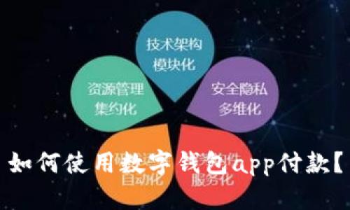 如何使用数字钱包app付款？