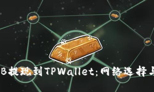 如何将BNB提现到TPWallet：网络选择与步骤指南