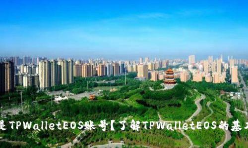 ### 什么是TPWalletEOS账号？了解TPWalletEOS的基本信息与功能