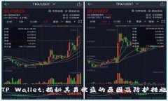 TP Wallet：揭秘其易被盗的原因及防护措施