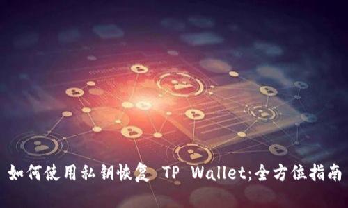 如何使用私钥恢复 TP Wallet：全方位指南