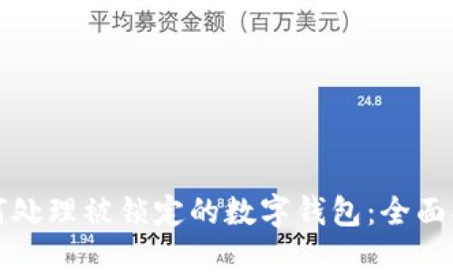 如何处理被锁定的数字钱包：全面指南