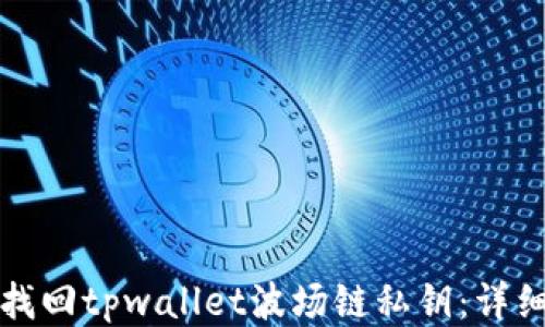 
如何找回tpwallet波场链私钥：详细指南