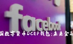 全面解析中国数字货币DCEP钱包：未来金融的变革