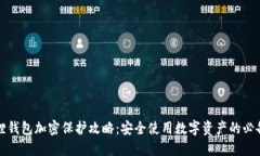 小狐狸钱包加密保护攻略：安全使用数字资产的