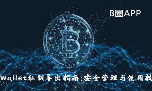 TPWallet私钥导出指南：安全管理与使用技巧