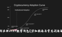 如何办理DCEP数字钱包？详细指南与常见问题解答