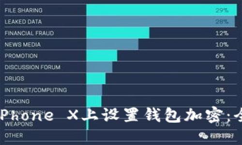 如何在iPhone X上设置钱包加密：全面指南