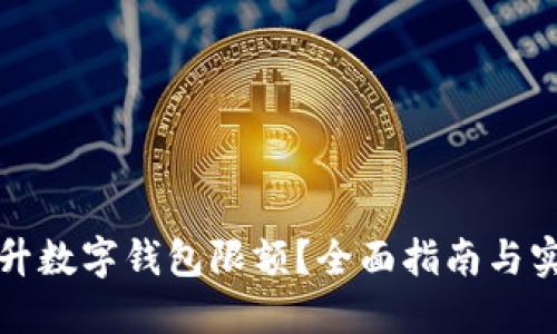 如何提升数字钱包限额？全面指南与实用技巧