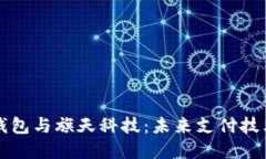 华为数字钱包与旗天科技：未来支付技术的领跑