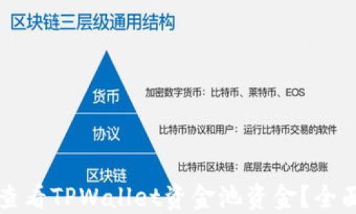 
如何查看TPWallet资金池资金？全面指南