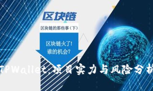 TPWallet：项目实力与风险分析