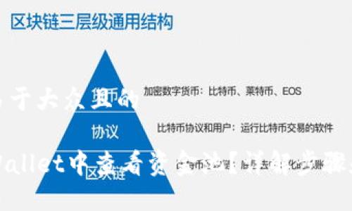 思考一个易于大众且的

如何在TPWallet中查看资金池？详解步骤和实用技巧