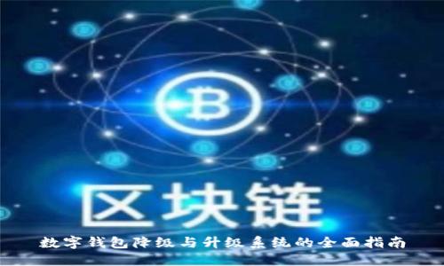 数字钱包降级与升级系统的全面指南