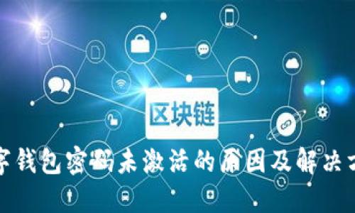 数字钱包密码未激活的原因及解决方案