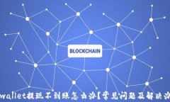 tpwallet提现不到账怎么办？常见问题及解决办法