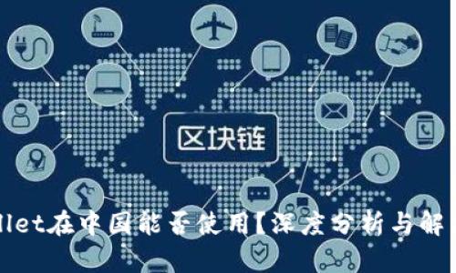 TPWallet在中国能否使用？深度分析与解决方案