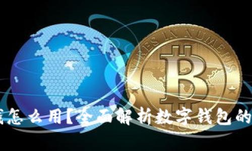 数字钱包10块钱怎么用？全面解析数字钱包的使用方法与技巧