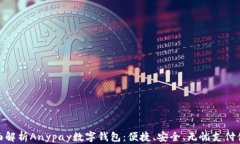 全面解析Anypay数字钱包：便捷、安全、无忧支付