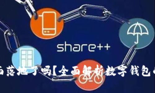 数字钱包全面落地了吗？全面解析数字钱包的现状与未来