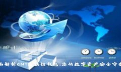 全面解析CNT区块链钱包：您的数字资产安全守护