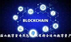 全面解析国内数字货币钱包：如何选择合适的数