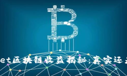 TPWallet区块链收益揭秘：真实还是骗局？