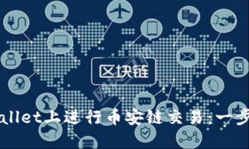 如何在TPWallet上进行币安链交易：一步步视频指南