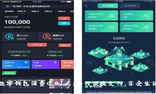 数字钱包消费0.01元：如何便捷支付，享受生活