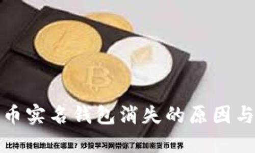 数字人民币实名钱包消失的原因与解决方案