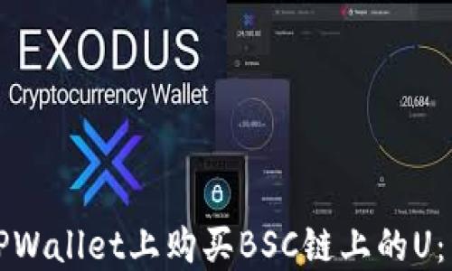 
如何在TPWallet上购买BSC链上的U：详细指南