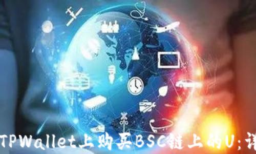 
如何在TPWallet上购买BSC链上的U：详细指南