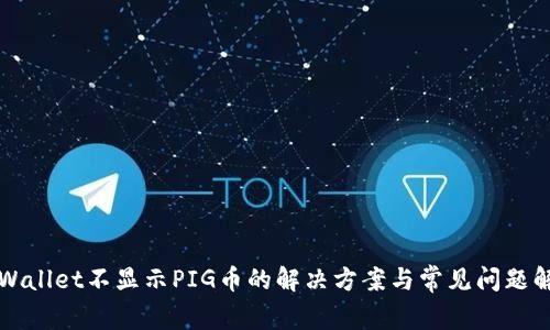 TPWallet不显示PIG币的解决方案与常见问题解析