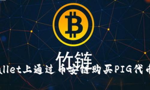 如何在TPWallet上通过币安链购买PIG代币的详细指南