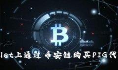如何在TPWallet上通过币安链购买PIG代币的详细指南