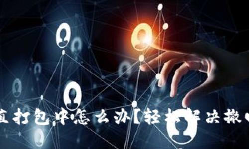TPWallet一直打包中怎么办？轻松解决撤回问题的方法
