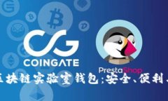 全面解析区块链实验室钱包：安全、便利与未来