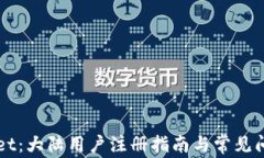 TPWallet：大陆用户注册指南与常见问题解析