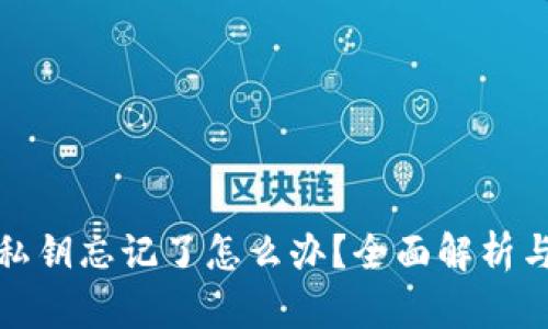 tpwallet私钥忘记了怎么办？全面解析与解决方案
