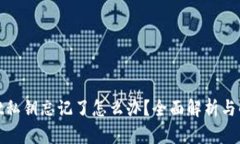 tpwallet私钥忘记了怎么办？全面解析与解决方案