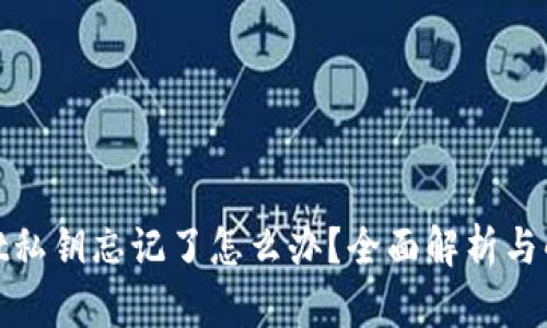 tpwallet私钥忘记了怎么办？全面解析与解决方案